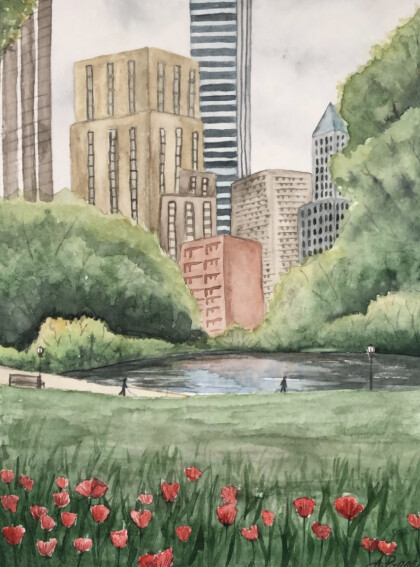 Центральный парк Нью-Йорка