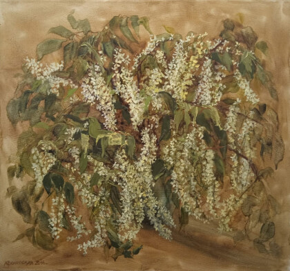 Черемухи цвет