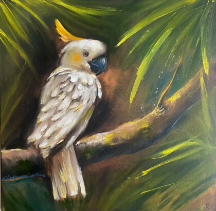 Солнечный попугай