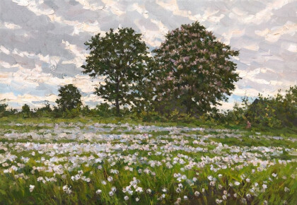 Поле одуванчиков