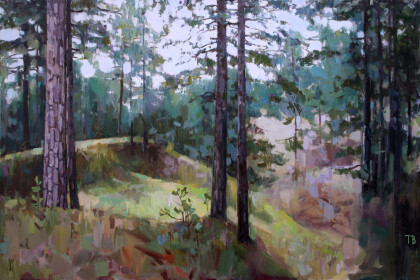 Овраги на Волжском берегу