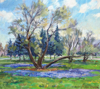 Мускарики на лужайке