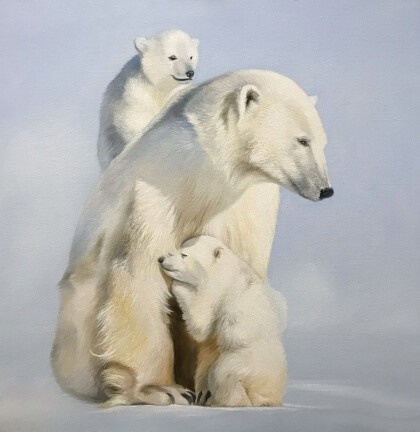 Белые медведи