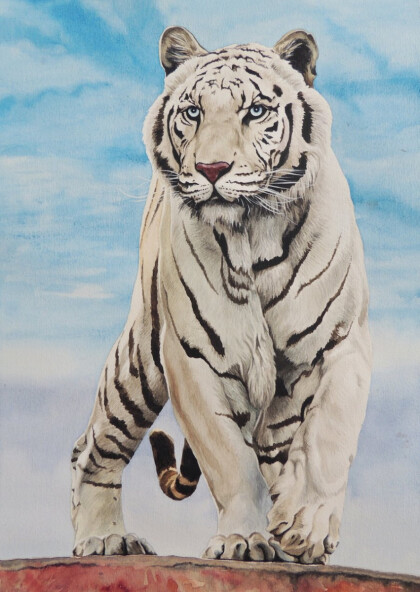 Белый тигр