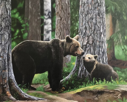 Медведи в хвойном лесу