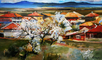 Слива зацвела