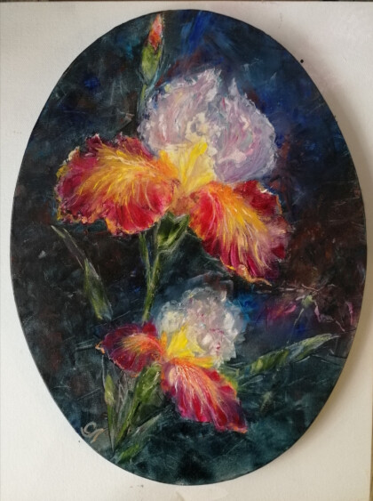Ирисы