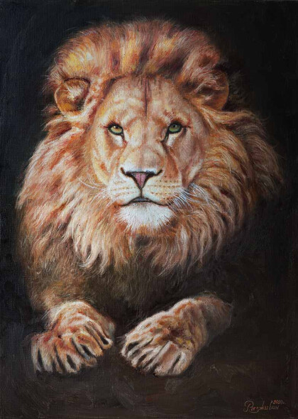 Мудрый взгляд