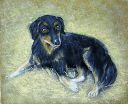 собака на сене