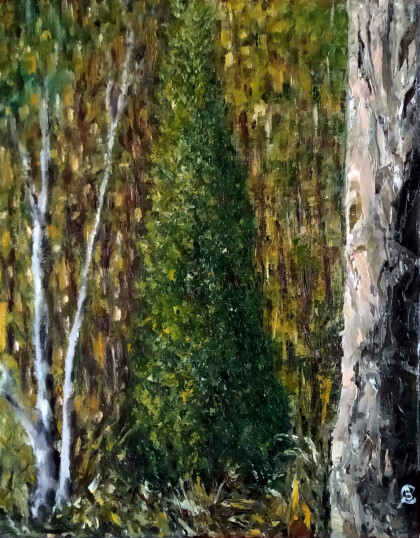 Можжевельник