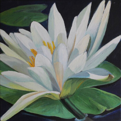 Белоснежный лотос