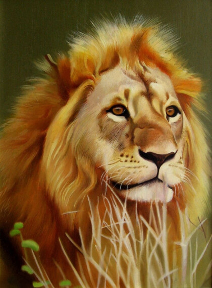 Лев на природе