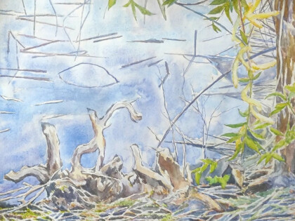 "На берегу озера"