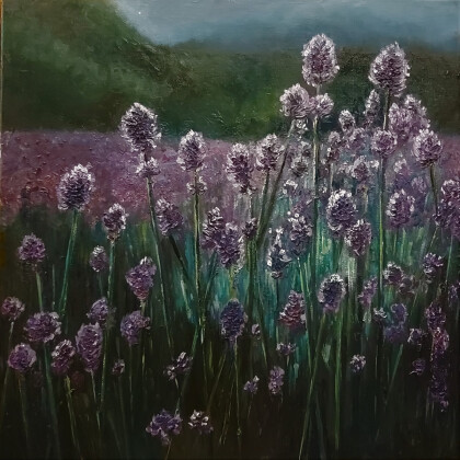 Лавандовое поле