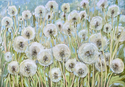 Одуванчики