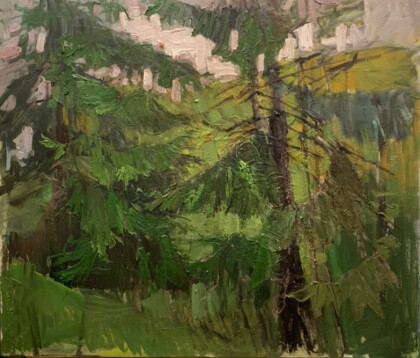 Вечернее солнце