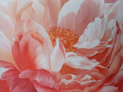 Распустившийся пион