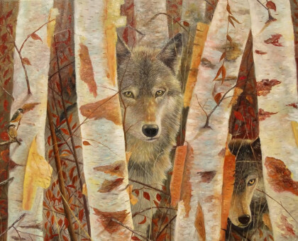 Волки в березовом лесу