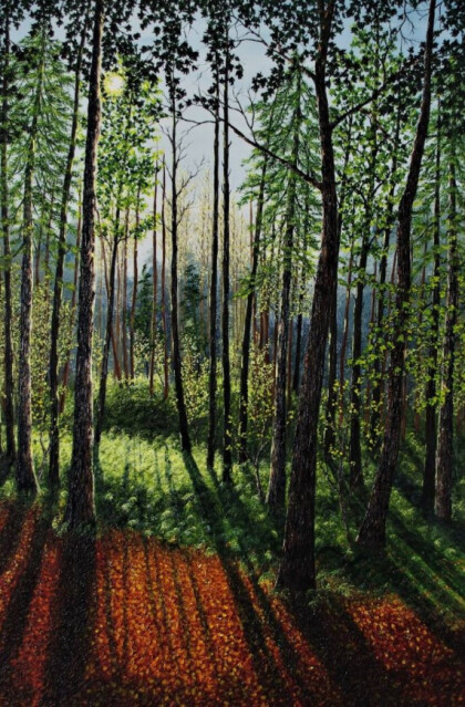 Лесная дорожка