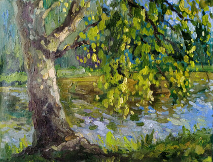 Береза в солнечном  свете