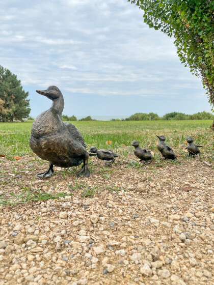 Утиные истории