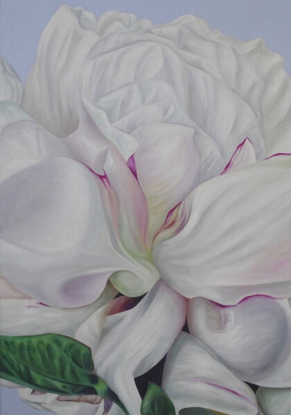 Нежный цветок. Пион