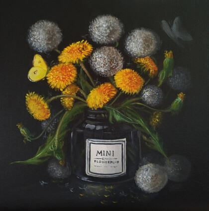 Солнечные метаморфозы