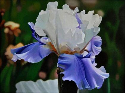 Очаровательный ирис