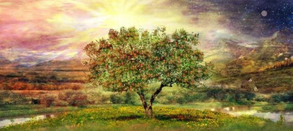 Большое одинокое дерево