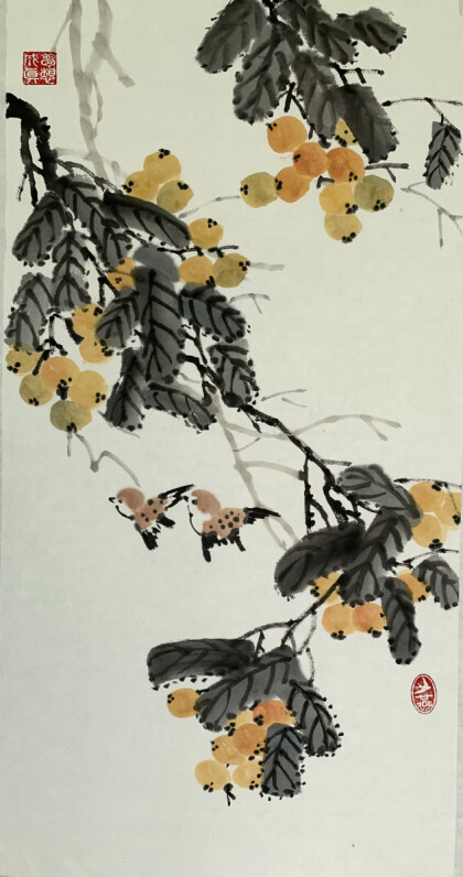 Мушмула в моем саду