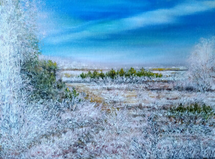 Зимних заморозков кружева
