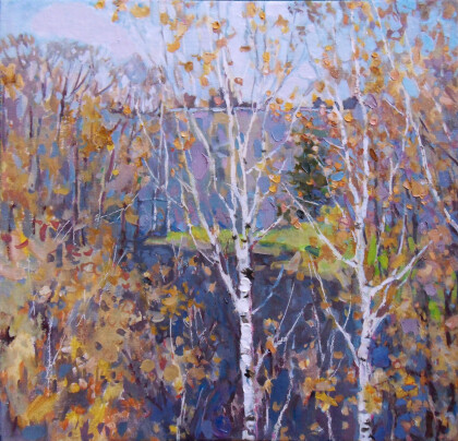 Грустный вид в моём окне