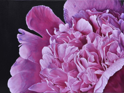 Большой розовый пион