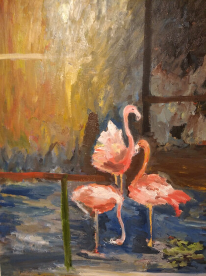 Фламинго