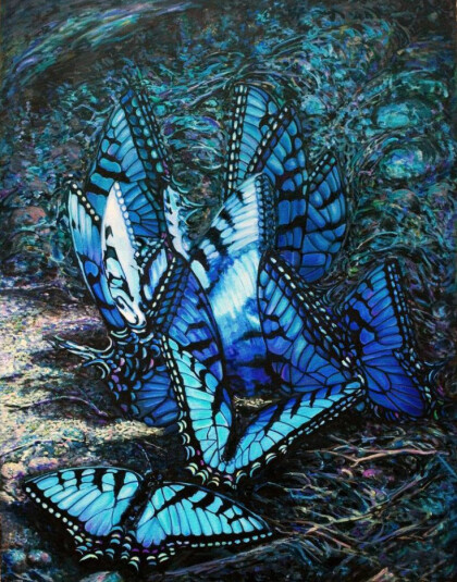 Необыкновенные бабочки