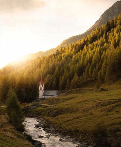 Лесной пейзаж