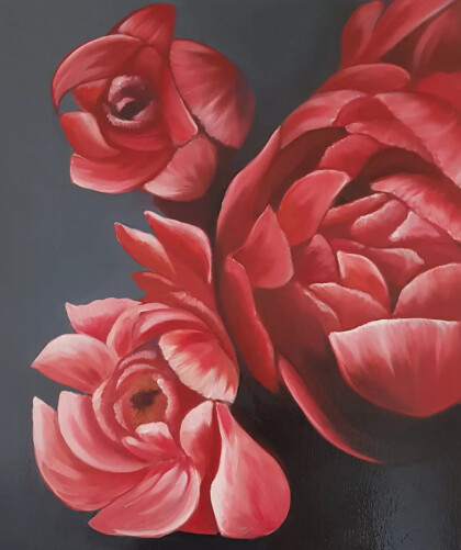 Коралловые розы