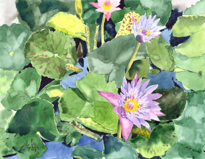 Кувшинки. Тропическое очарование Вьетнама #2