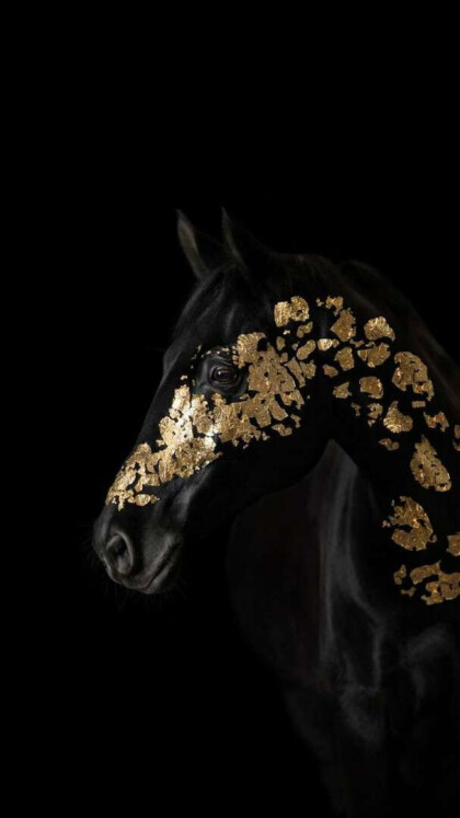 Лошадь в золоте