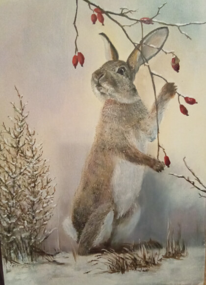 Год кролика