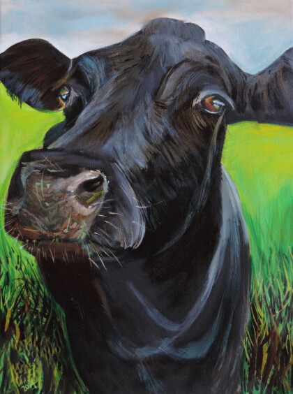 Чёрная корова