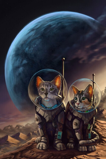 Коты-космонавты