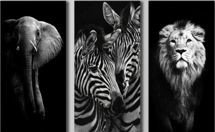 Животные Африки