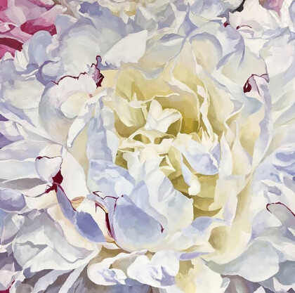 Нежный пион