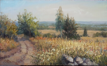 Вдали от города