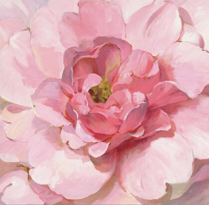 Нежный бутон розы