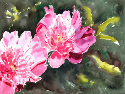 Песня лета. Пионы