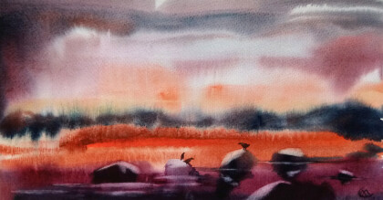 На прибрежных камнях