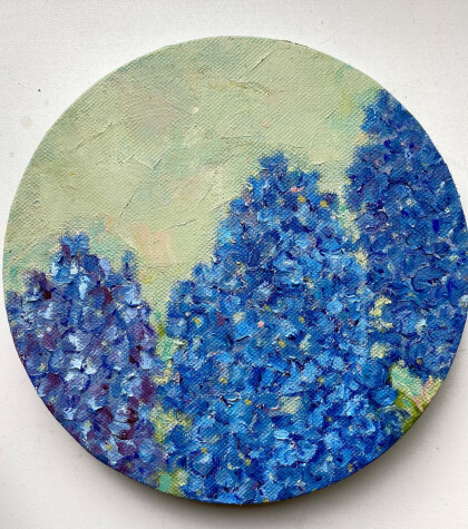 Синяя гортензия