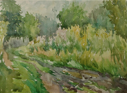 После дождя